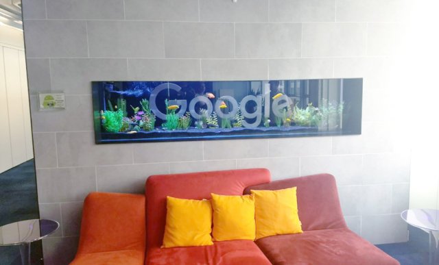 Visit to The Google Canada Office in Toronto